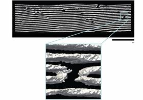 This scanning transmission electron microscope (STEM) image shows continuous 2D nanosheets folded at a sharp angle. Image: Emma Vargo et al./Berkeley Lab. Image courtesy of Nature.