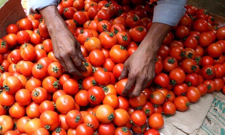 India's tomato prices surge over 300%, prompting thieves and turmoil