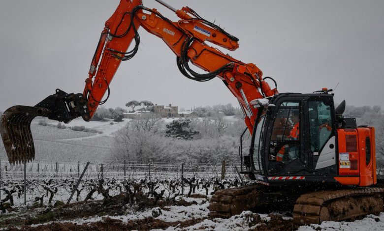 France pays winemakers to rip up vines on Bordeaux uncertainty