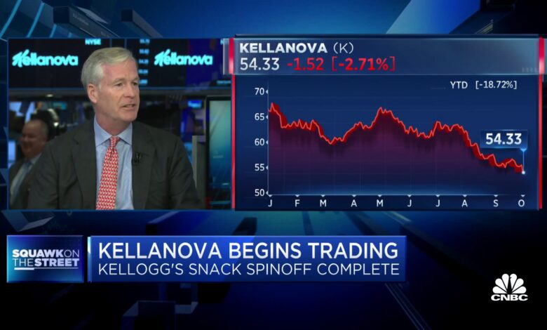 Kellanova CEO Steve Cahillane on spinoff: We still have tremendous scale