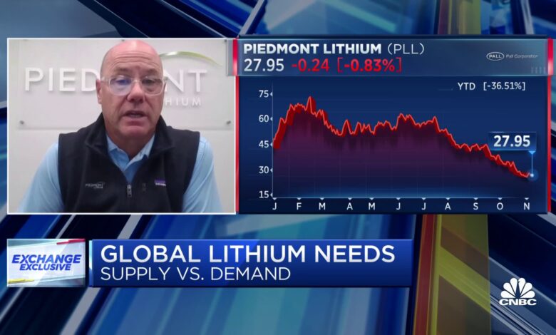 Lithium prices will stabilize and begin to rebound, says Piedmont CEO Keith Phillips