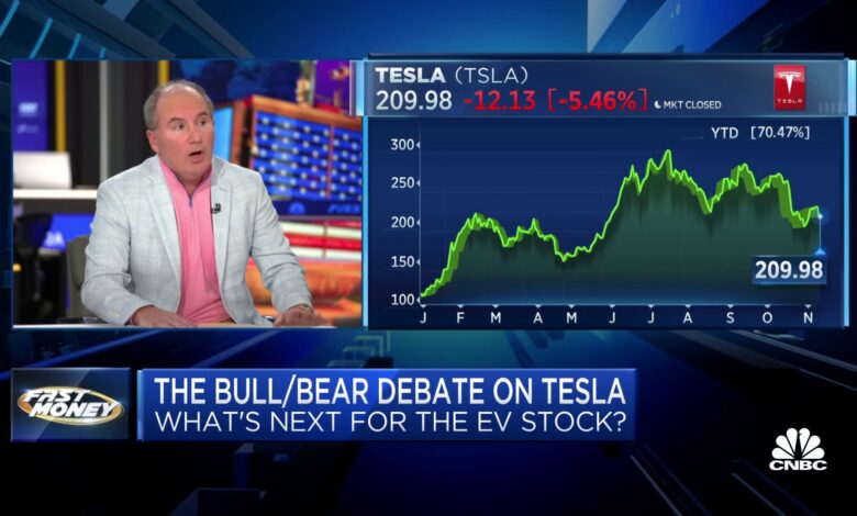 Tesla super bull Dan Ives on why he believes a nearly 50% rally is ahead