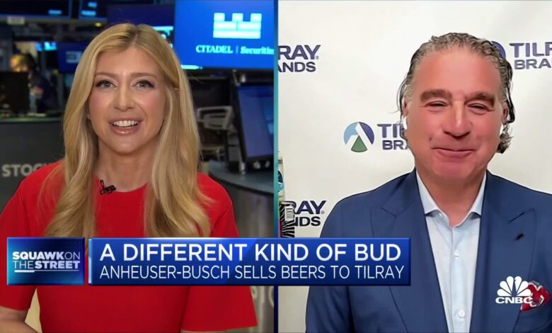 Tilray CEO on purchase of beer brands from Anheuser-Busch