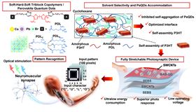 Combination of soft-hard-soft triblock copolymers and PeQDs, with specifically selected solvents, produce fully stretchable photosynaptic devices that can perform pattern recognition and other brain-like functions.
