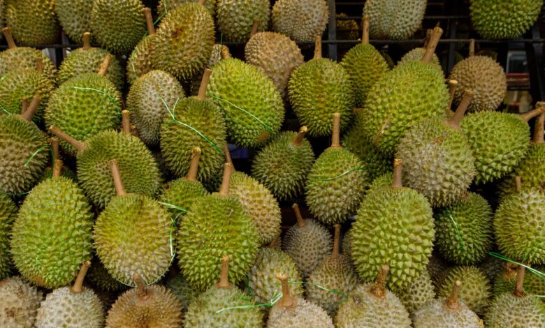 Durian demand has soared 400%, fueled by China’s ‘craze’ for the fruit