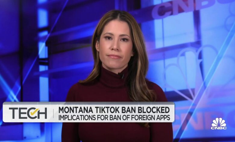 Judge blocks Montana TikTok ban, says it violates first amendment