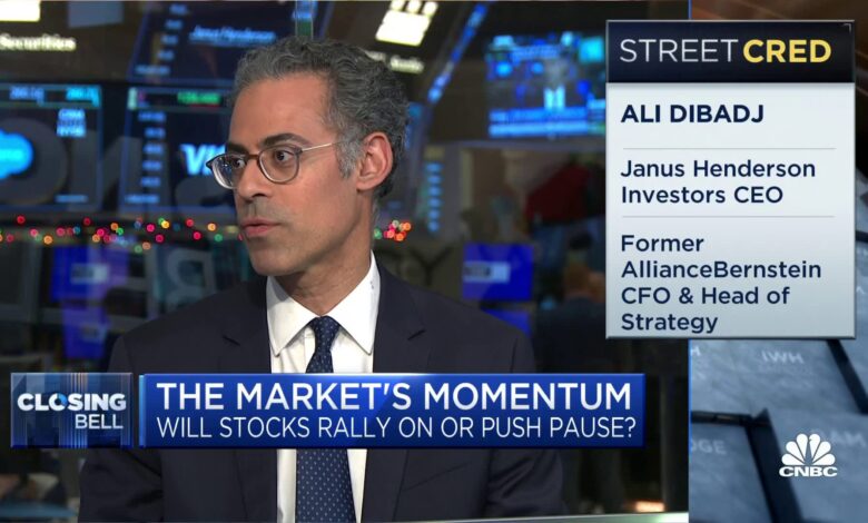 The pivot for 2024 will be the consumer, says Janus Henderson's Ali Dibadj