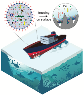 Researchers have discovered that impurities such as salt and alcohol affect how ice forms on surfaces such as the hull of ships in arctic conditions. Illustration by the Anand group.