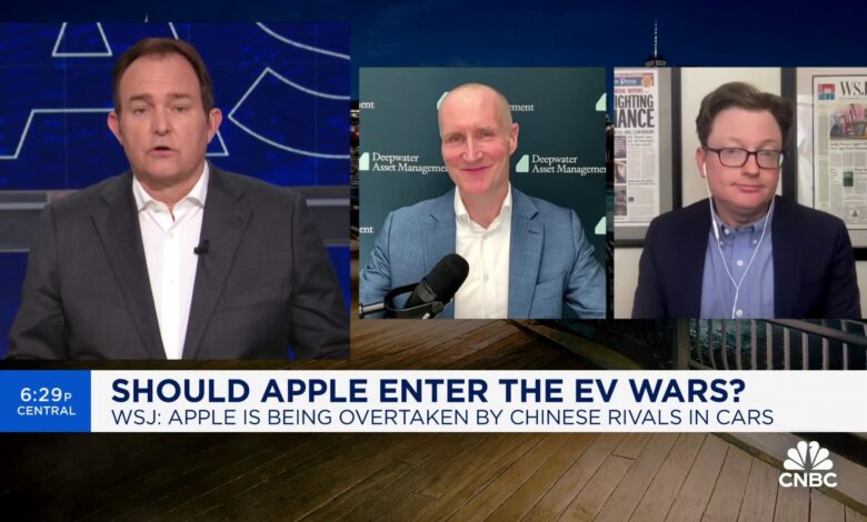 WSJ's Tim Higgins and Deepwater's Gene Munster talk Tesla's competition in the Chinese EV space