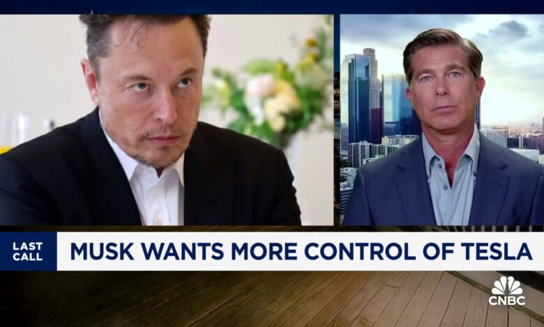 Elon Musk is very much in charge of Tesla, him wanting more stock is 'weird': Ross Gerber