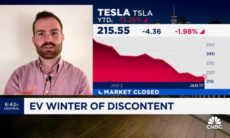 EVs struggling in cold happening under 'rare circumstances': Tesla investor Sawyer Merritt