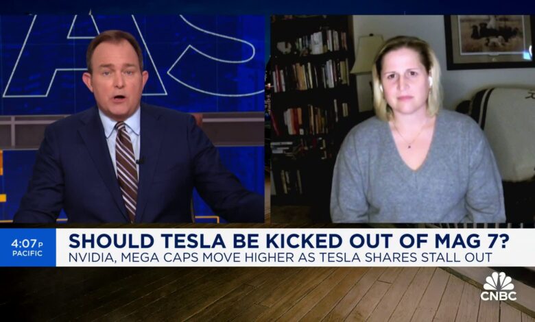 Tesla seems to be going through 'a little bit of an identity crisis', says G Squared's Victoria Greene