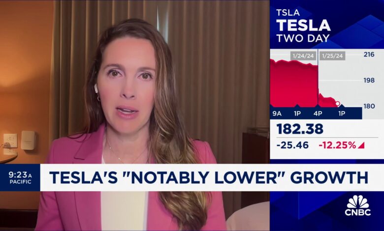 Tesla is 'dead money' for next few months, but I'm still bullish long-term, says Bryn Talkington