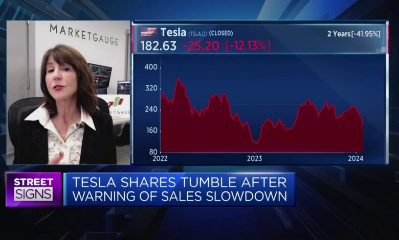 Watch Tesla's stock price - $150 could be the bottom: Strategist