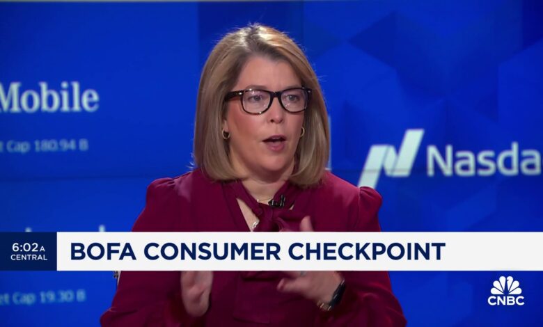 Consumer spending growth is moderating, says BofA Institute’s Liz Everett Krisberg