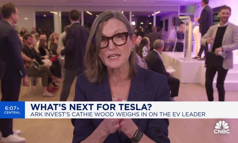 ARK Invest CEO Cathie Wood: EVs will be the bulk of the auto market in the next 5 years