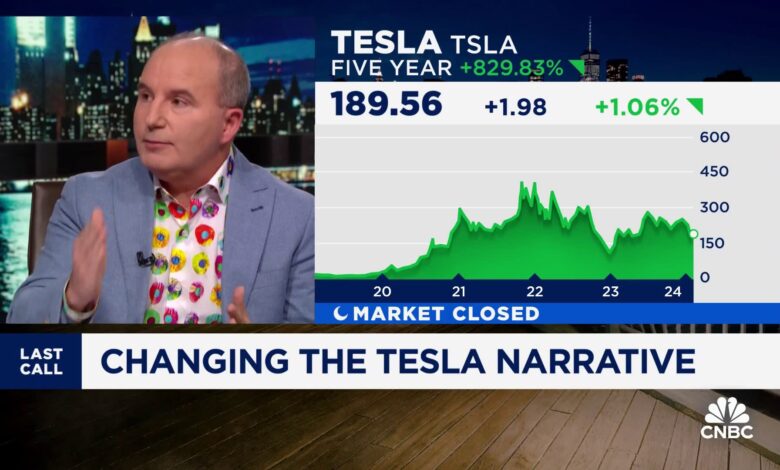 'Musk is the heart of Tesla', the board needs to act on a compensation package: Wedbush's Dan Ives
